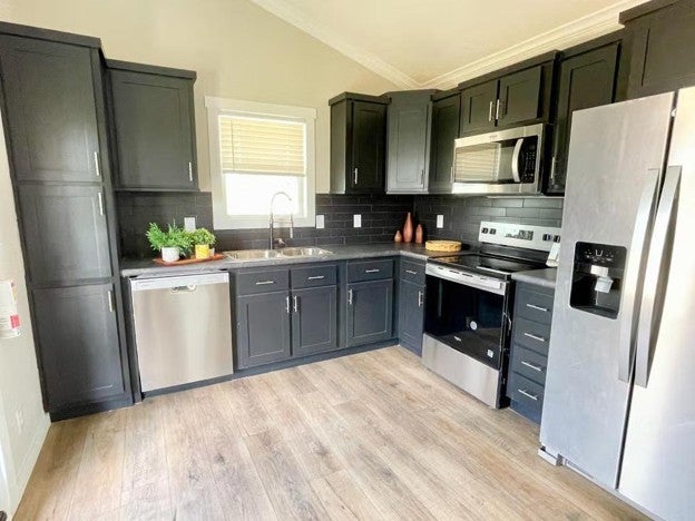 Village Tiny homes